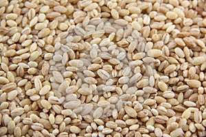 Dried pearled barley