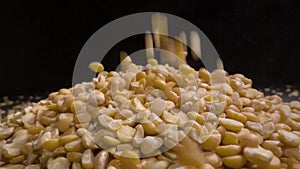 Dried peas are poured on a table, black background.