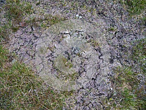 Dried peat bog wetland on the island of Harris in the Outer Hebrides, Scotland, UK.