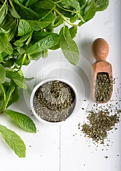Dried peppermint in a white bowl and a bunch of fresh mint, on wooden background. Food background