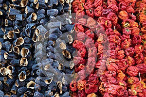 Dried peppers and eggplant hanging in a market