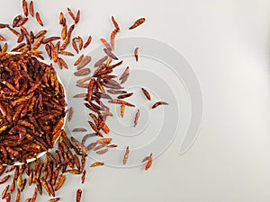 Dried peppers placed on a gray background