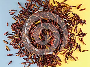 Dried peppers placed on a gray background