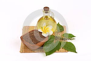 Dried Perilla seeds, green leaves and oil placed on a white background.