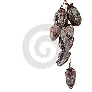 Dried persimmon dries on a rope. Isolated on white