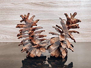 dried pine flower on the table