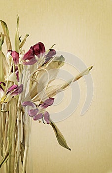 Dried pink tulips in a glass vase