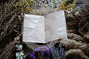 Dried plants and herbs.