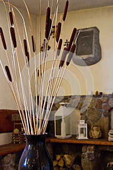 Dried plants in home living room