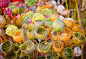 Dried pods of the poppy