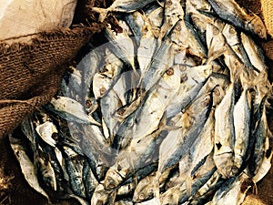 Dried or preserved fish on display in the market.