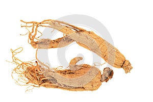 Dried Preserved Ginseng Roots