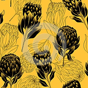 Dried proteus flowers. Graphic pattern on yellow background. Floral pattern