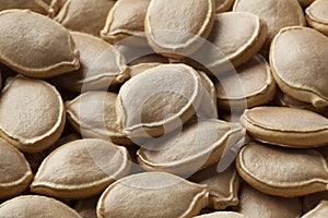 Dried pumpkin seeds close up