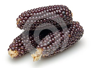 Dried purple corn isolated on white
