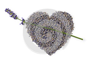 Dried purple lavender flowers close up in heartshape on white background photo