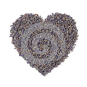 Dried purple lavender flowers close up in heartshape on white background photo