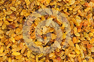 Dried Raisin background