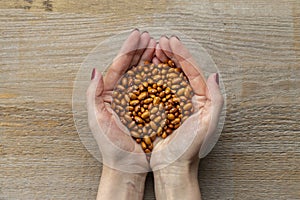Dried red beans in female hands. In the background a wooden background. Top view