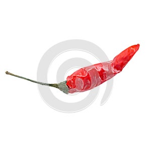 Dried red, the Chile hot pepper isolated on a white background