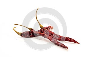 Dried red chili or chilli cayenne pepper isolated on white background