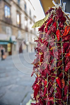 Dried red chili peppers hanging for sale at the street Market, Tropea, Italy
