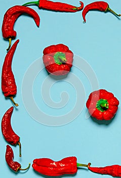 Dried red chili peppers lie on a multi-colored background