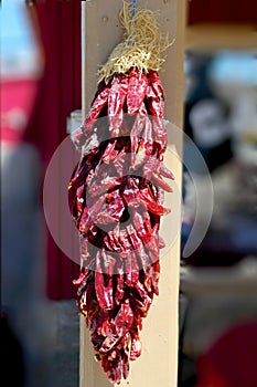 Dried Red Chilies