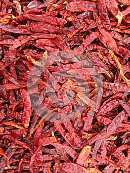 Dried red chilies