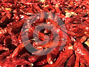 dried red chilies for ingredient cooking, asia spicy food