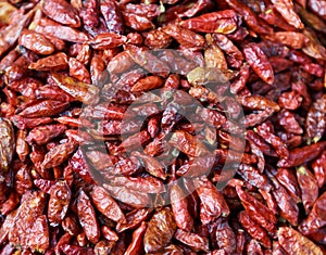 Dried red chilli pappers background