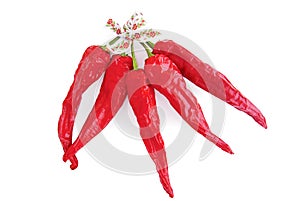 Dried Red Chilli Peppers