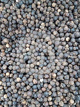 Dried red chilli, stacked together in large numbers.