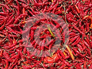 Dried Red chillies, dry chilly background texture, hot spicy chillies peppers food