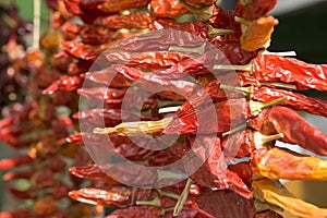 Dried Red Chillis photo