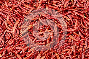 Dried red chillis kept for drying