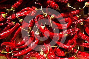 Dried red chilly pepper background. Process of natural drying red pepper on sun