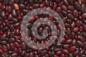 Dried red haricot beans as a background. Top view.