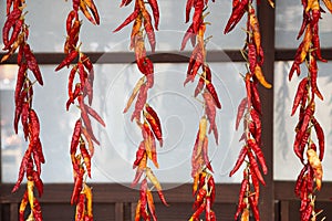 Dried red hot chili peppers at Japanese old village Uchiko town in Ehime, Shikoku, Japan