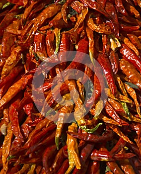 Dried red hot chilly pepper
