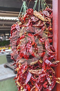 Dried red hot chilly peppers hanging on the market
