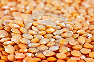 Dried Red Lentils