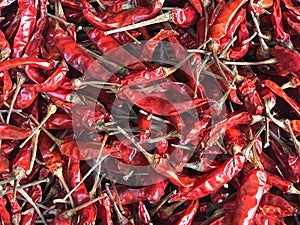 Dried red peppers or red chillis