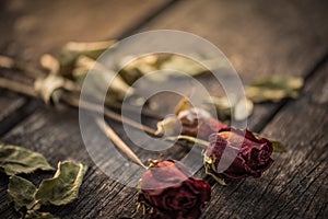 Dried red rose, dead red rose with two red heart on woodeng