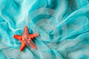 Dried red sea starfish on cian cloth background