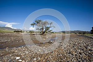 Dried river in Damaraland, Namibia