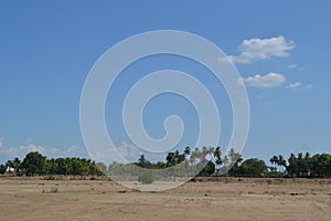 Dried river and trees sky