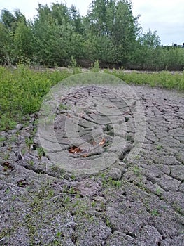 Dried riverbed