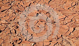 Dried riverbed, Morocco.