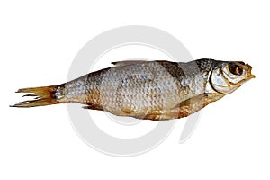 Dried roach isolated on a white background. Dried fish, preservation and preservation